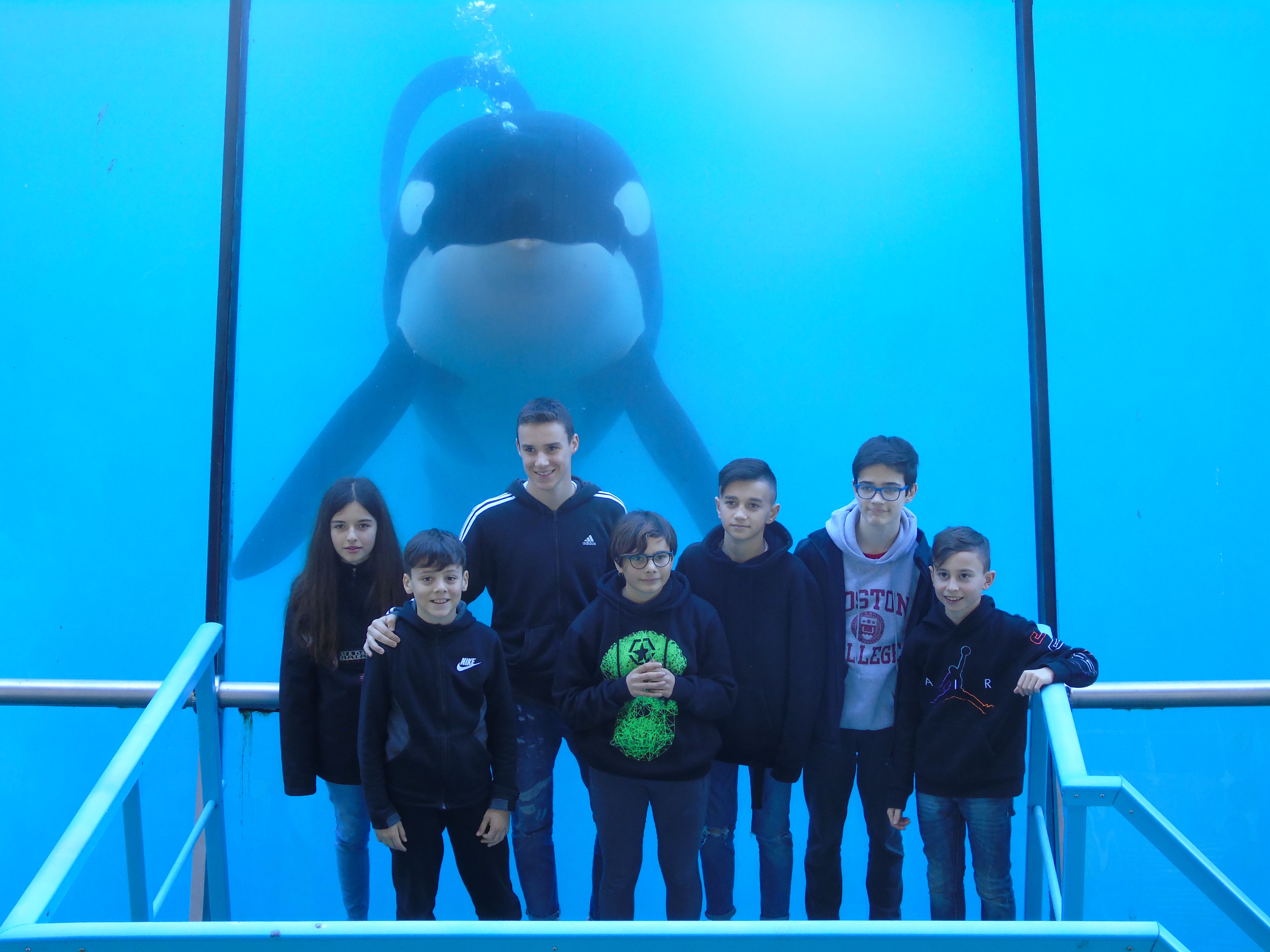 Marineland 2019